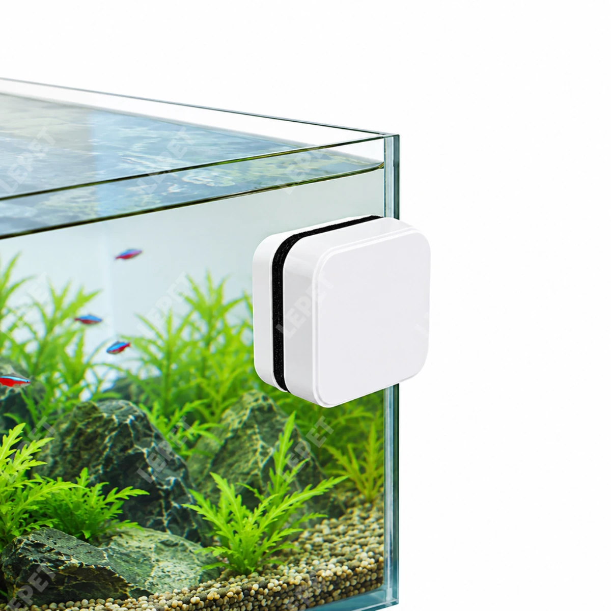 LEPET Magnet Pembersih Kaca Aquarium / Mini Magnet Glass Cleaner foto 7