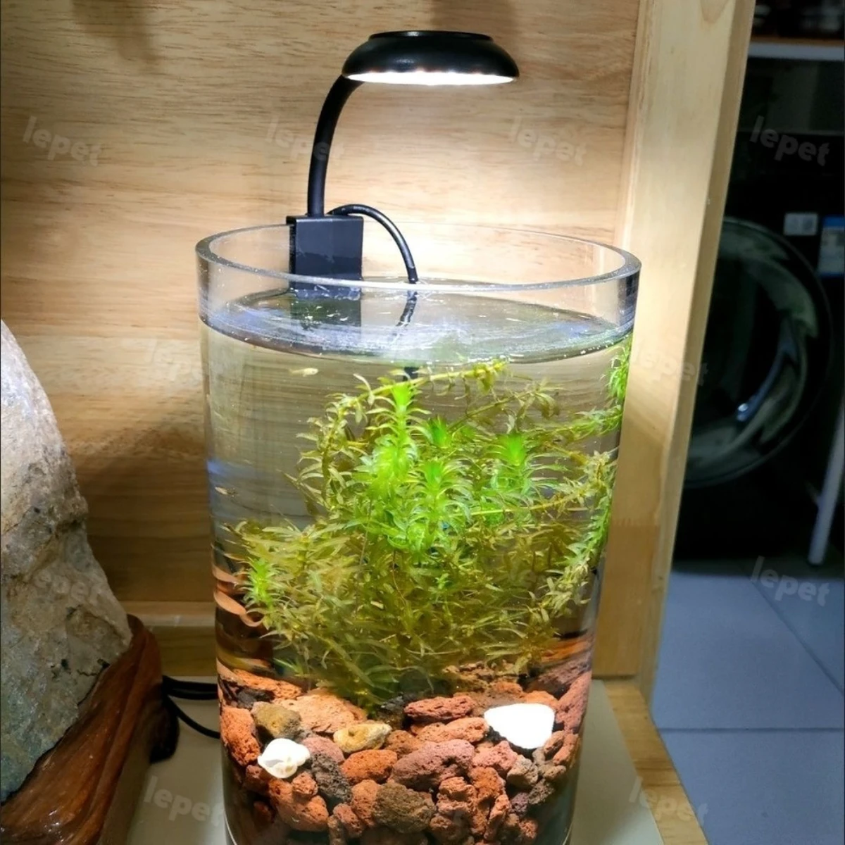 LEPET lampu aquarium mini FY-Q6 / LED aquarium / lampu aquarium jepit foto 9