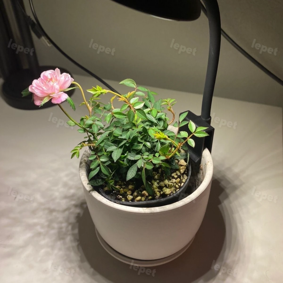 LEPET lampu aquarium mini FY-Q6 / LED aquarium / lampu aquarium jepit foto 4