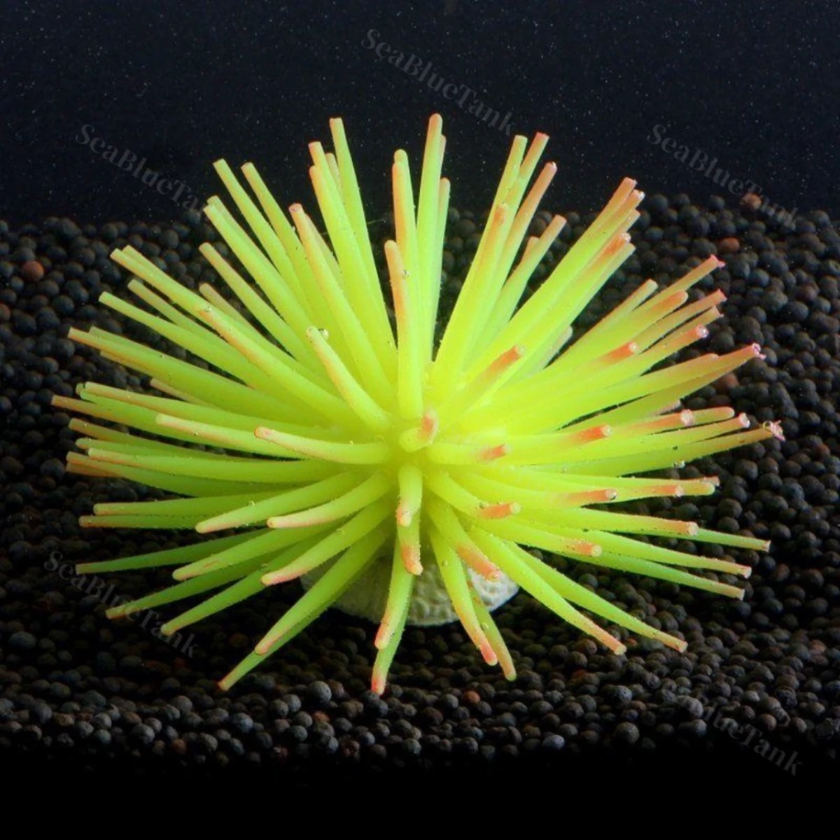 LEPET HIASAN AQUARIUM UKURAN 6CM DAN 8CM ANEMON LAUT CORAL ARTICIAL SILICONE foto 4