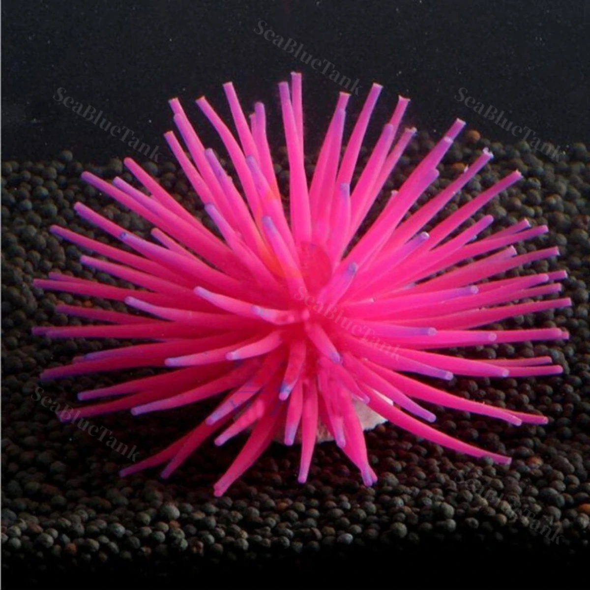 LEPET HIASAN AQUARIUM UKURAN 6CM DAN 8CM ANEMON LAUT CORAL ARTICIAL SILICONE foto 7