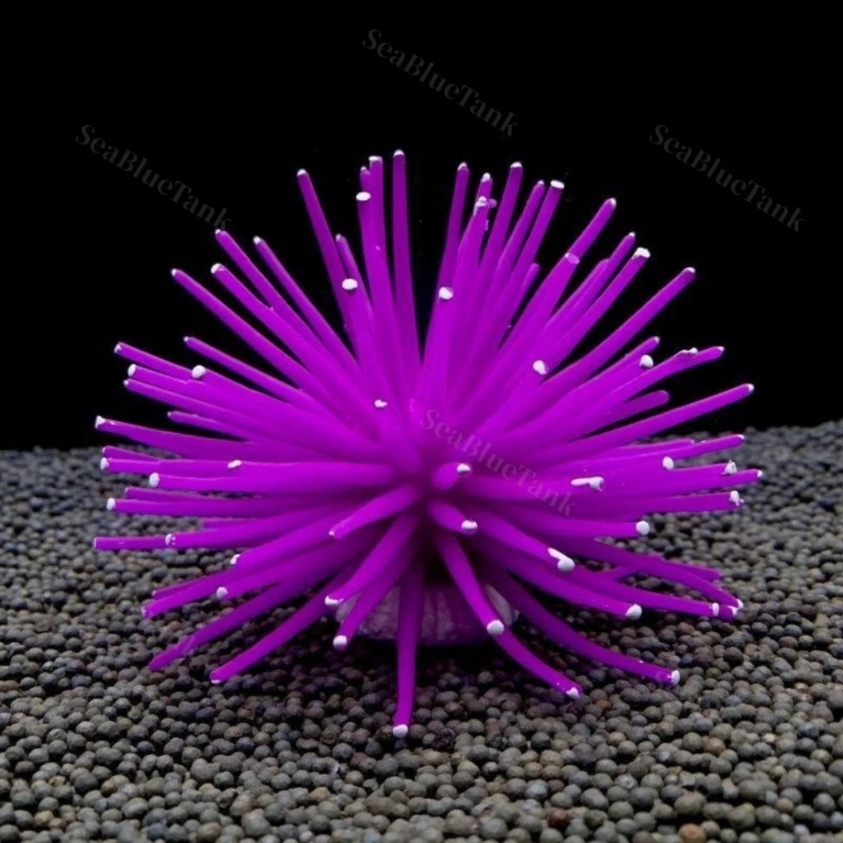 LEPET HIASAN AQUARIUM UKURAN 6CM DAN 8CM ANEMON LAUT CORAL ARTICIAL SILICONE foto 2