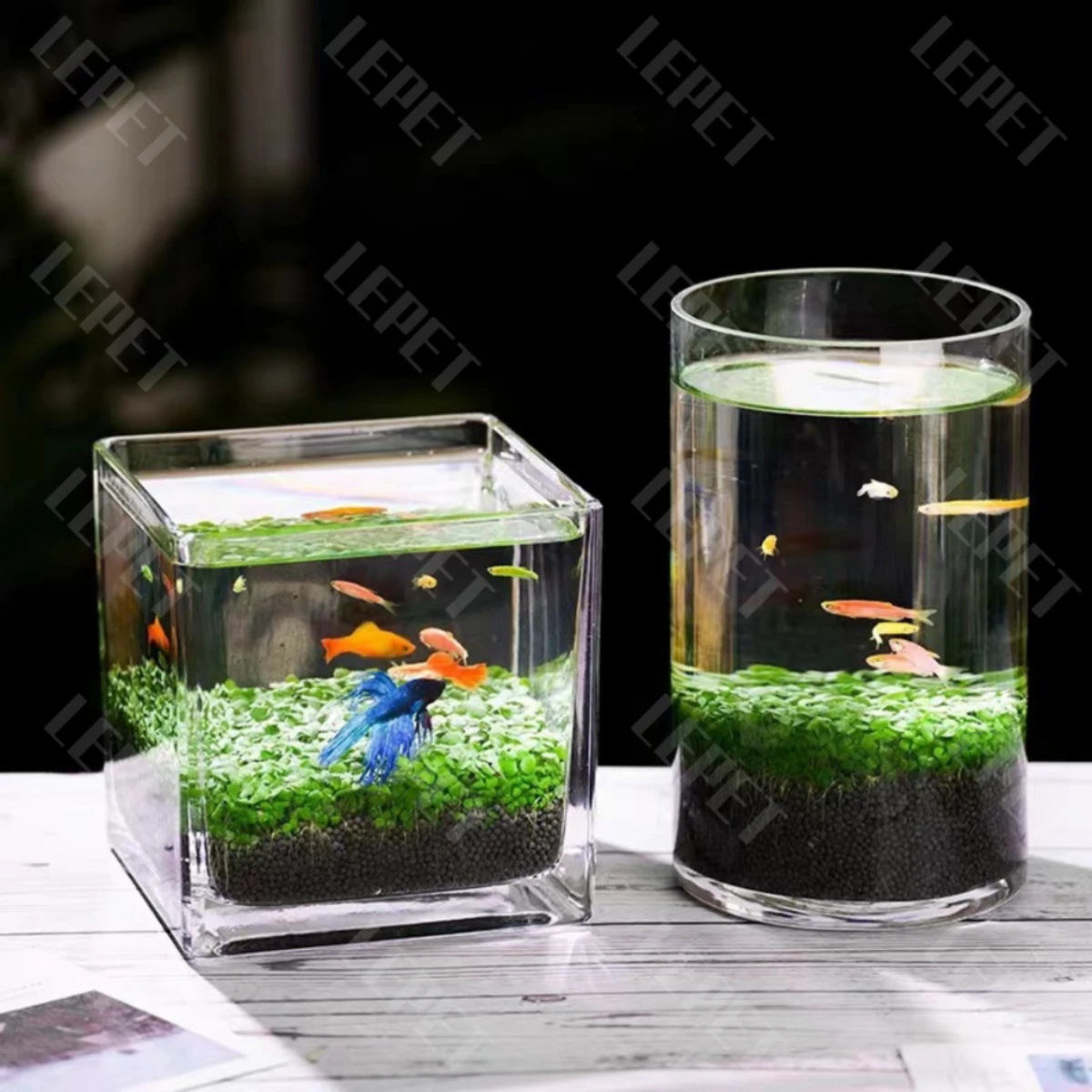 LEPET AQUARIUM MINI KECIL A18 / AKUARIUM IKAN CUPANG HIAS / KURA-KURA foto 2