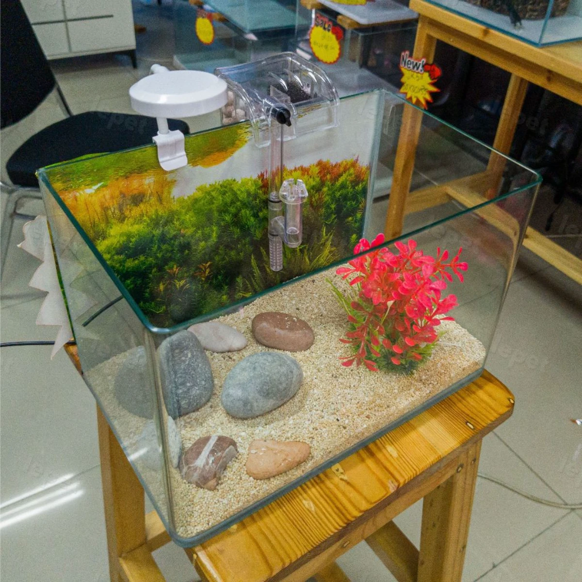 LEPET AQUARIUM PAKET 30 CM / AQUARIUM MELENGKUNG / AQUASCAPE / AQUARIUM BENDING foto 5