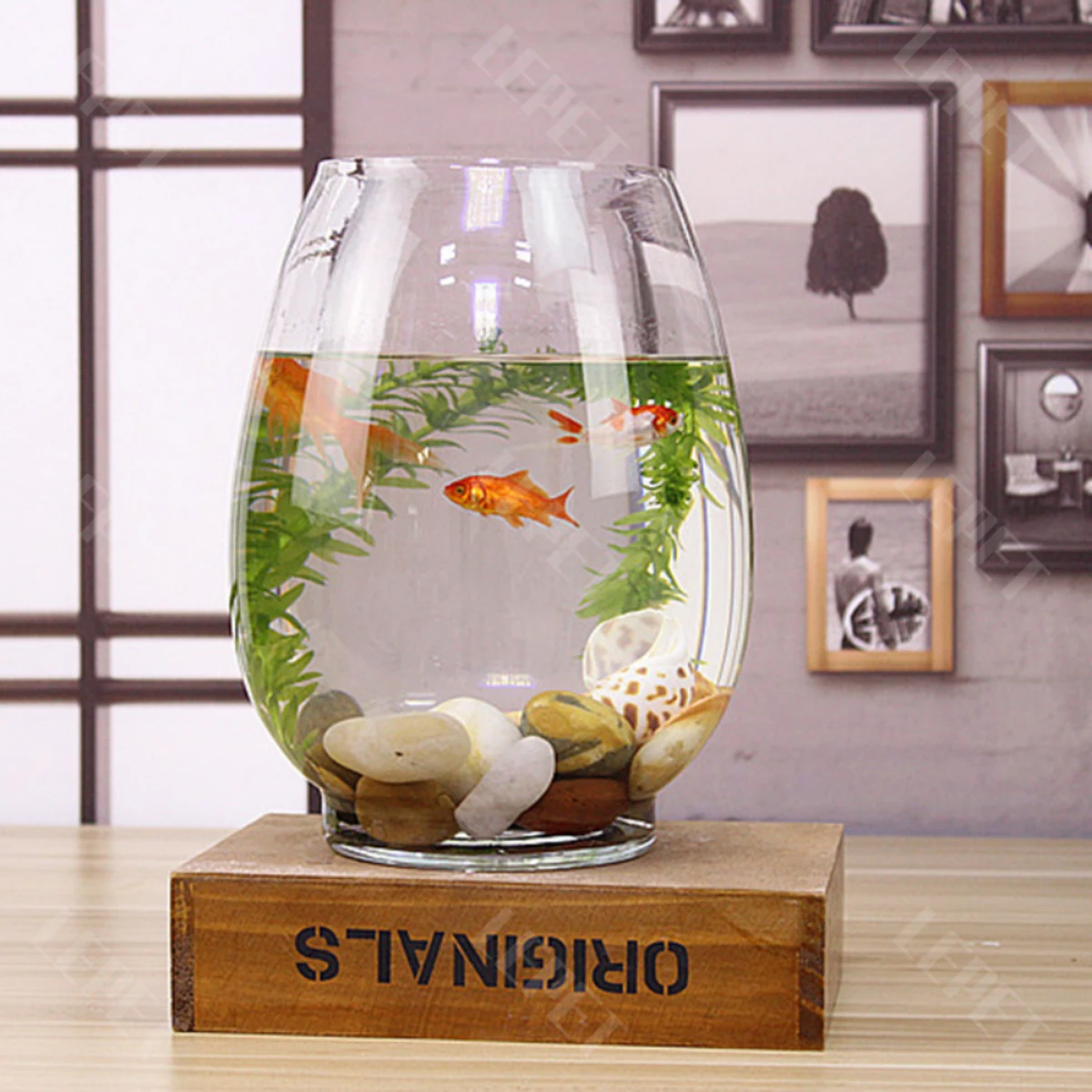 LEPET AQUARIUM MINI KECIL A28L AKUARIUM IKAN CUPANG HIAS foto 7