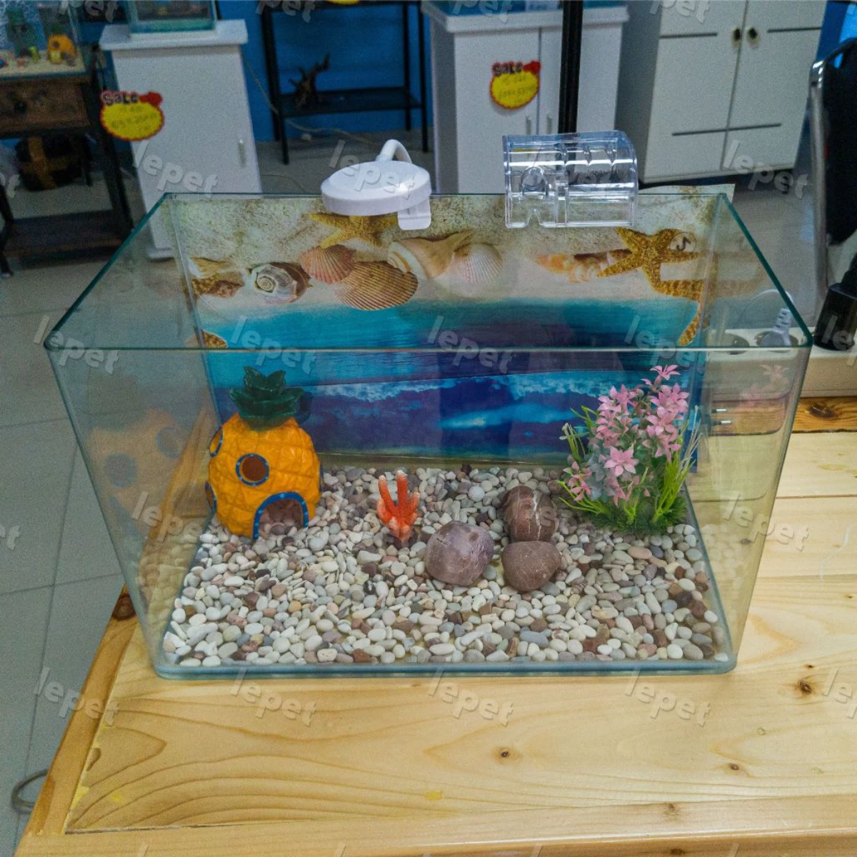 LEPET AQUARIUM PAKET 35CM / AQUARIUM MELENGKUNG / AQUASCAPE / AQUARIUM BENDING foto 2