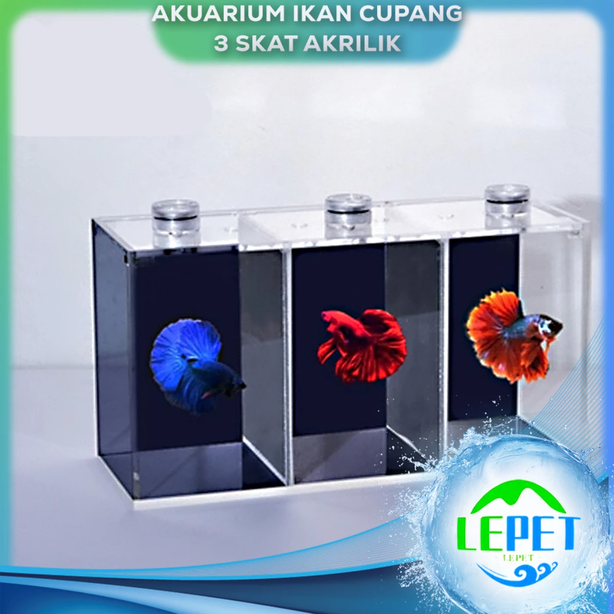 LEPET Akuarium Ikan Cupang 3 skat / Tempat Ikan Kecil Akrilik / Aquarium Mini Acrylic