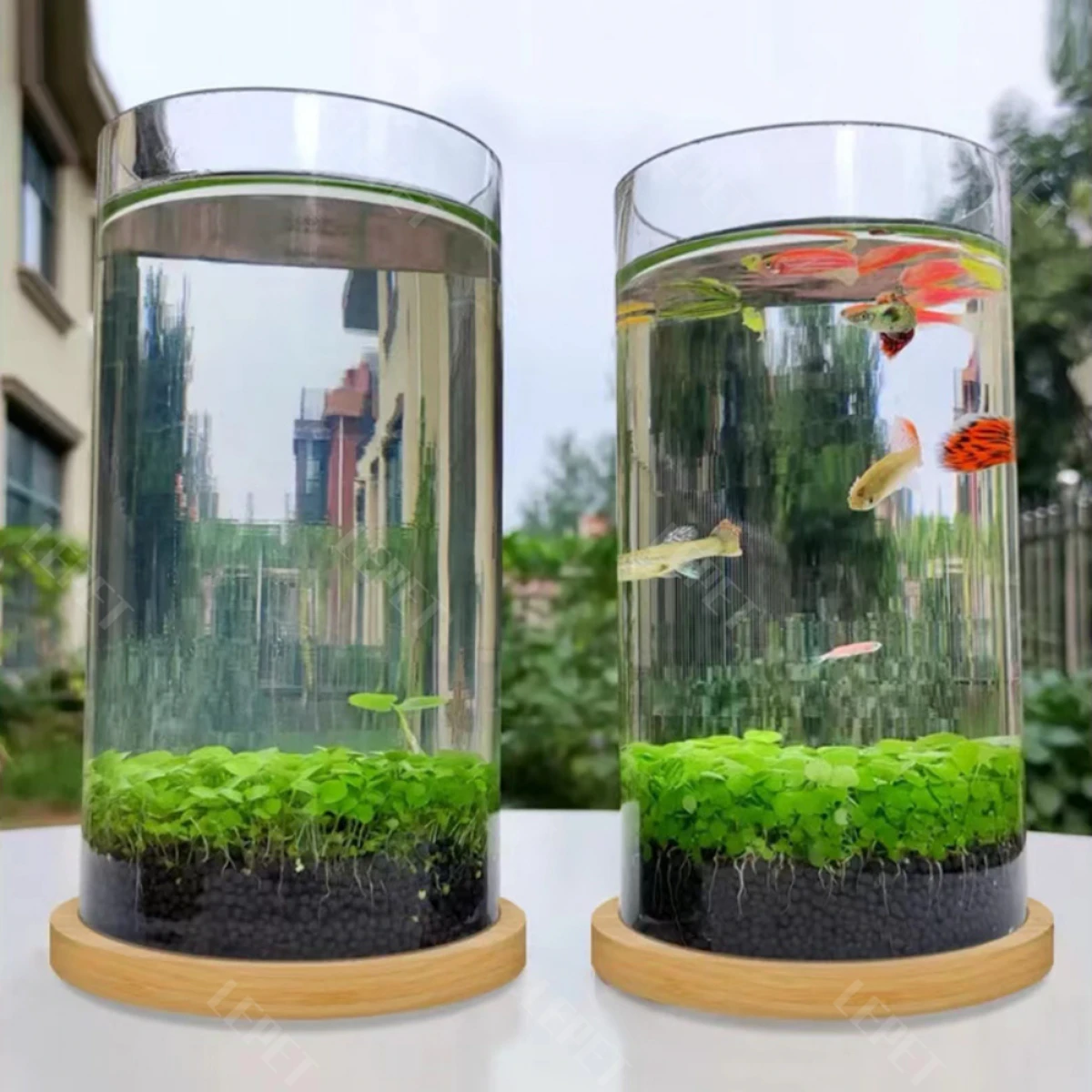 LEPET AQUARIUM MINI KECIL A22 / A23 AKUARIUM IKAN CUPANG HIAS / KURA-KURA foto 6