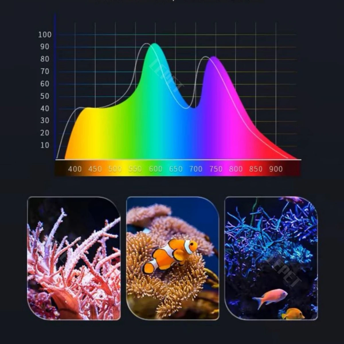 LEPET Akuarium Ikan AIR LAUT SBTHB35/40/ LENGKAP FILTER DAN LAMPU / KACA SUPER BENING / OPTIK CLEAR foto 3