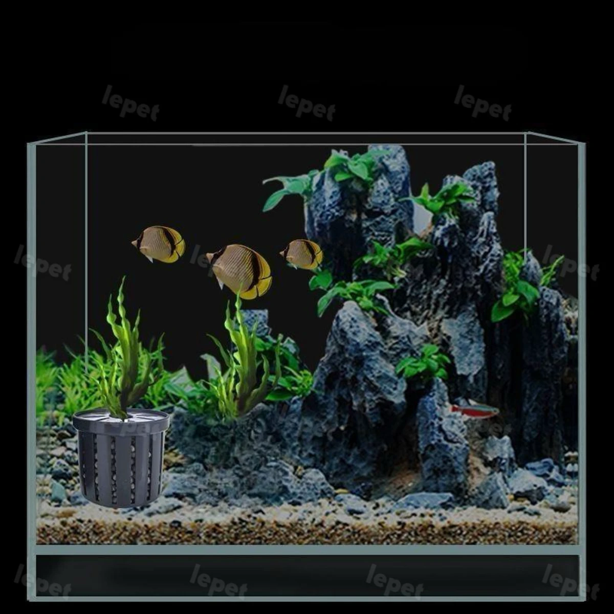 LEPET keranjang tanam rumput air PJ70 , menghemat ruang, partisi baki akuarium ikan,pot tanaman air aquarium/WATER PLANT BASKET foto 3