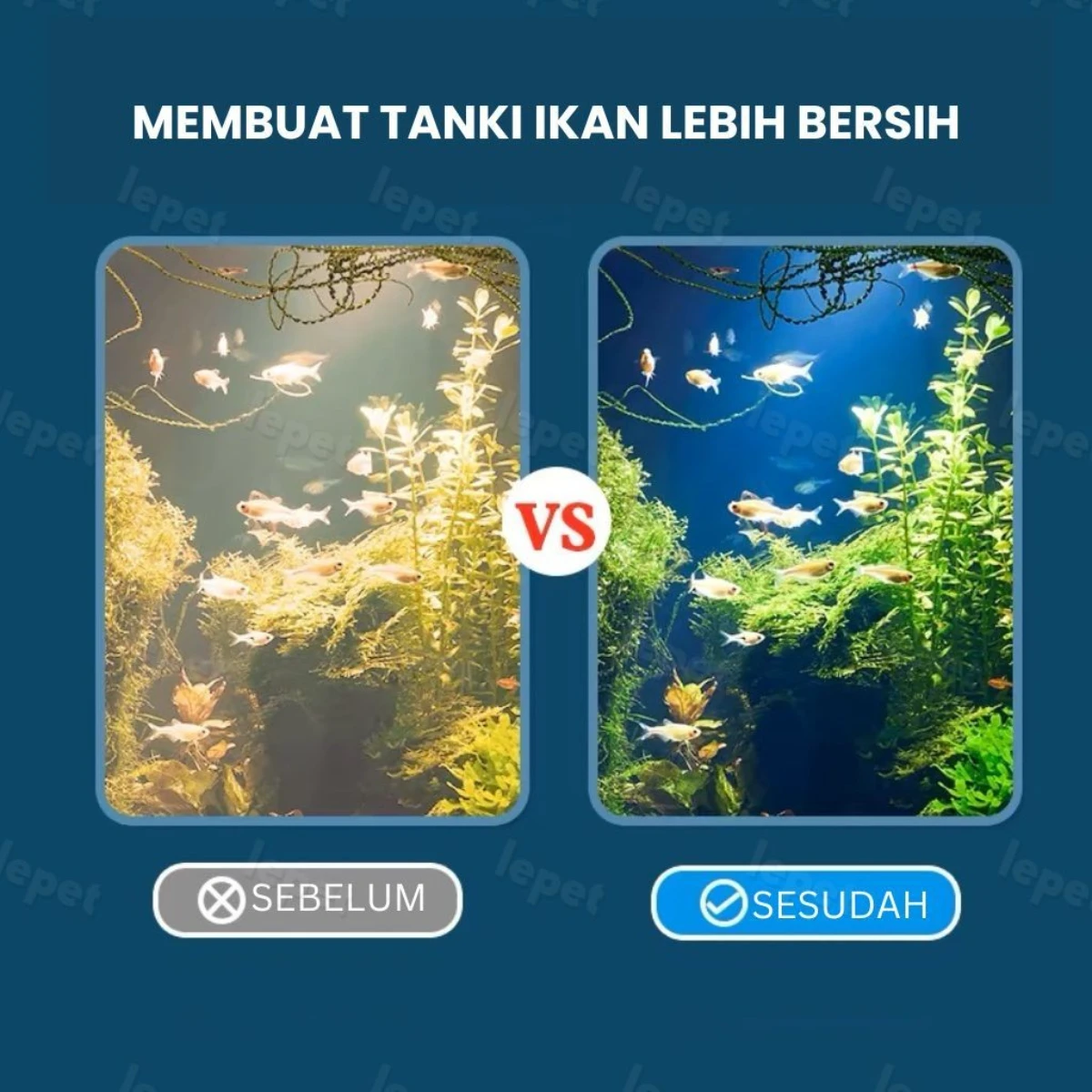 LEPET Nano Bio Sphere Ball LC012-185 /Media Filter Infrared Bacteria Ring Aquarium 500G-RANDOM foto 4