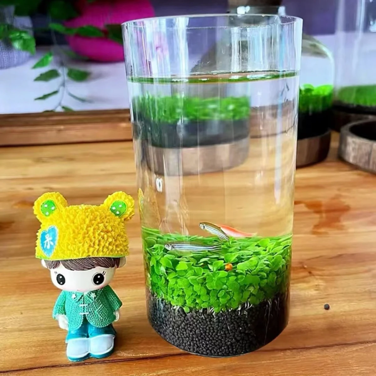 LEPET AQUARIUM MINI KECIL A25 / AKUARIUM IKAN CUPANG HIAS foto 8