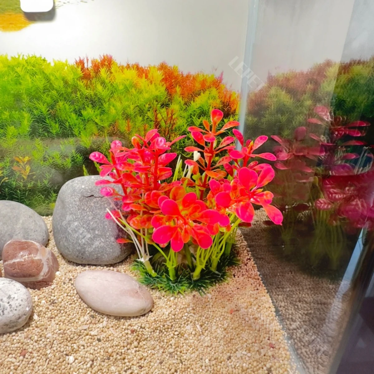 LEPET AQUARIUM PAKET 30 CM / AQUARIUM MELENGKUNG / AQUASCAPE / AQUARIUM BENDING foto 2
