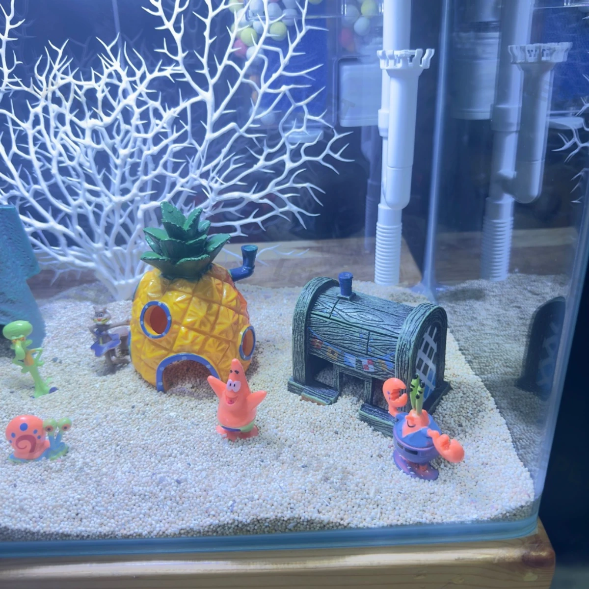 LEPET PAKET AQUARIUM SPONGEBOB 40CM / AQUARIUM MELENGKUNG / AQUASCAPE / AQUARIUM BENDING foto 4