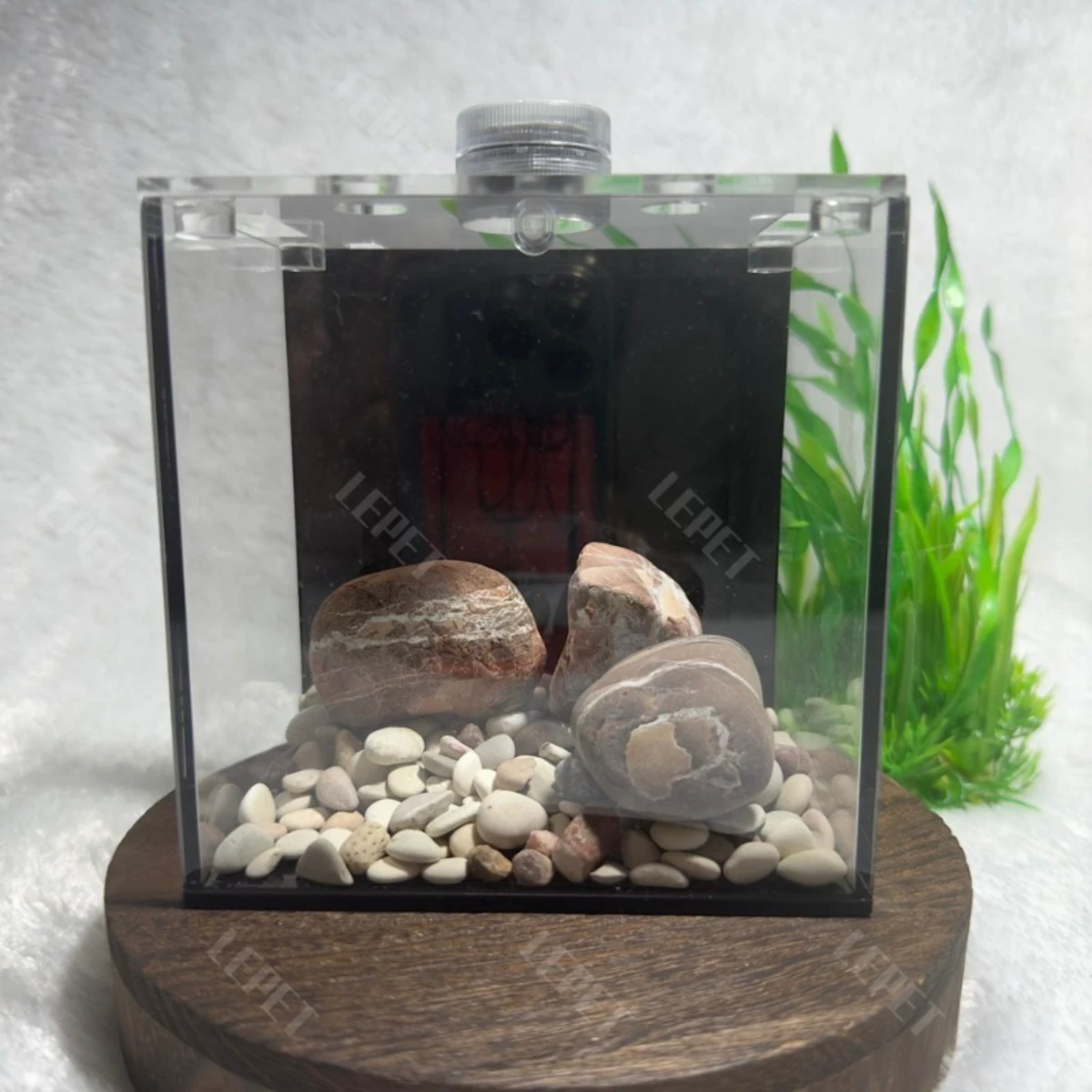 LEPET Akuarium Ikan Cupang 1 skat / Tempat Ikan Kecil Akrilik / Aquarium Mini Acrylic(FREE LAMPU,TUTUP DAN BATU) foto 4