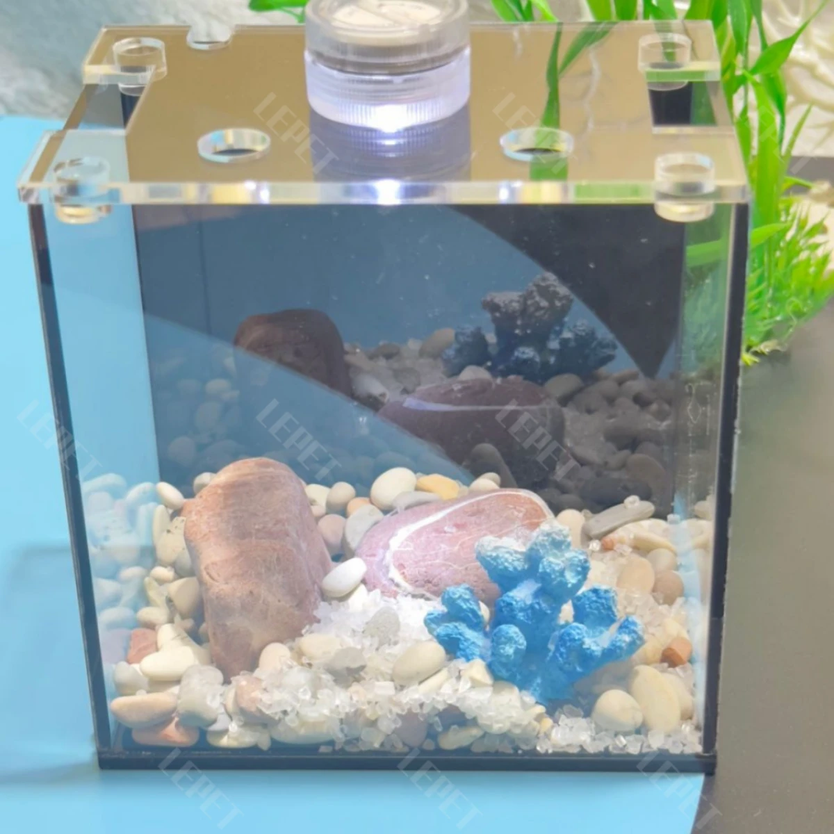 LEPET Akuarium Ikan Cupang 1 skat / Tempat Ikan Kecil Akrilik / Aquarium Mini Acrylic(FREE LAMPU,TUTUP DAN BATU) foto 3