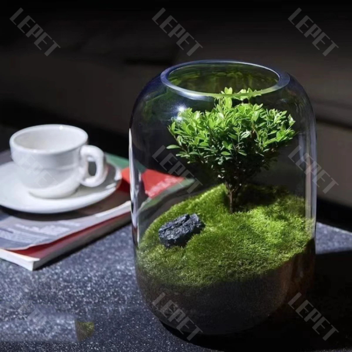 LEPET AQUARIUM MINI KECIL A19 / AKUARIUM IKAN CUPANG HIAS / KURA-KURA foto 7
