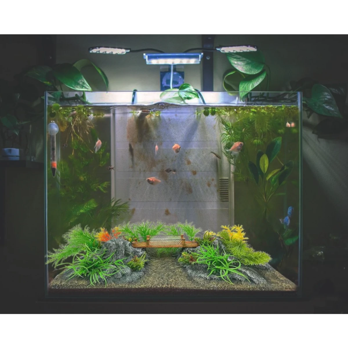 LEPET Paket lengkap lansekap tangki ikan simulasi pemandangan PJ39/PJ40 tangki ikan ekologis produk jadi Ornamen dekoratif lansekap foto 5