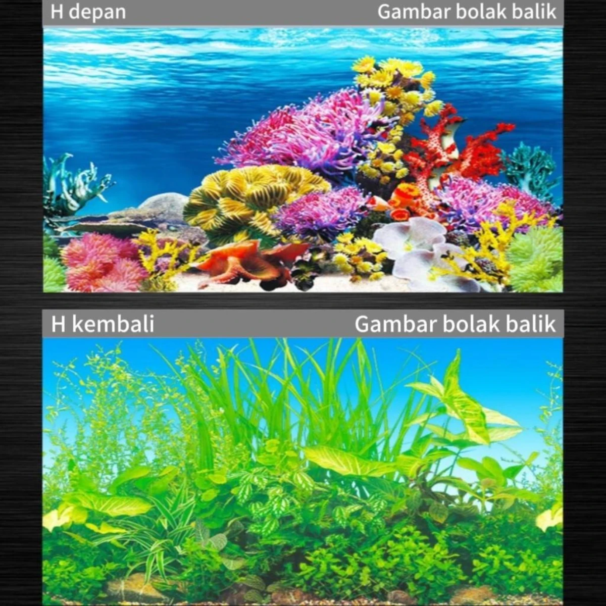 LEPET 40CM STICKER BACKGROUND AQUARIUM 2 SISI motif A,C,E,G,H,K / TIMBAL BALIK /AQUASCAPE / STIKER AKUARIUM / SCOUTLITE foto 6