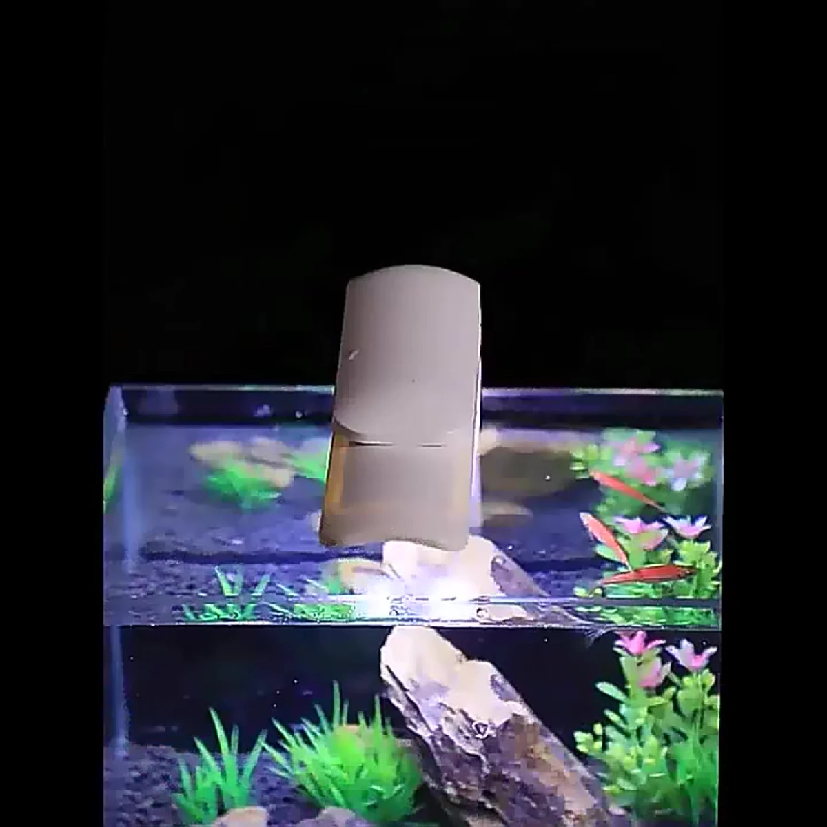 LEPET LAMPU AQUARIUM LED AKUARIUM D13/D11/D09 foto 4
