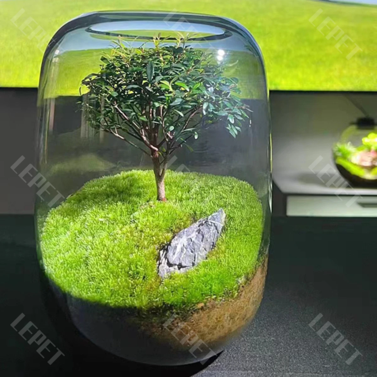 LEPET AQUARIUM MINI KECIL A19 / AKUARIUM IKAN CUPANG HIAS / KURA-KURA foto 9