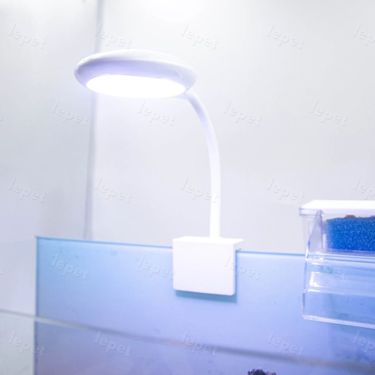 LEPET AQUASCAPE PAKET AP40 / AQUARIUM MELENGKUNG / AQUASCAPE / AQUARIUM BENDING foto 5