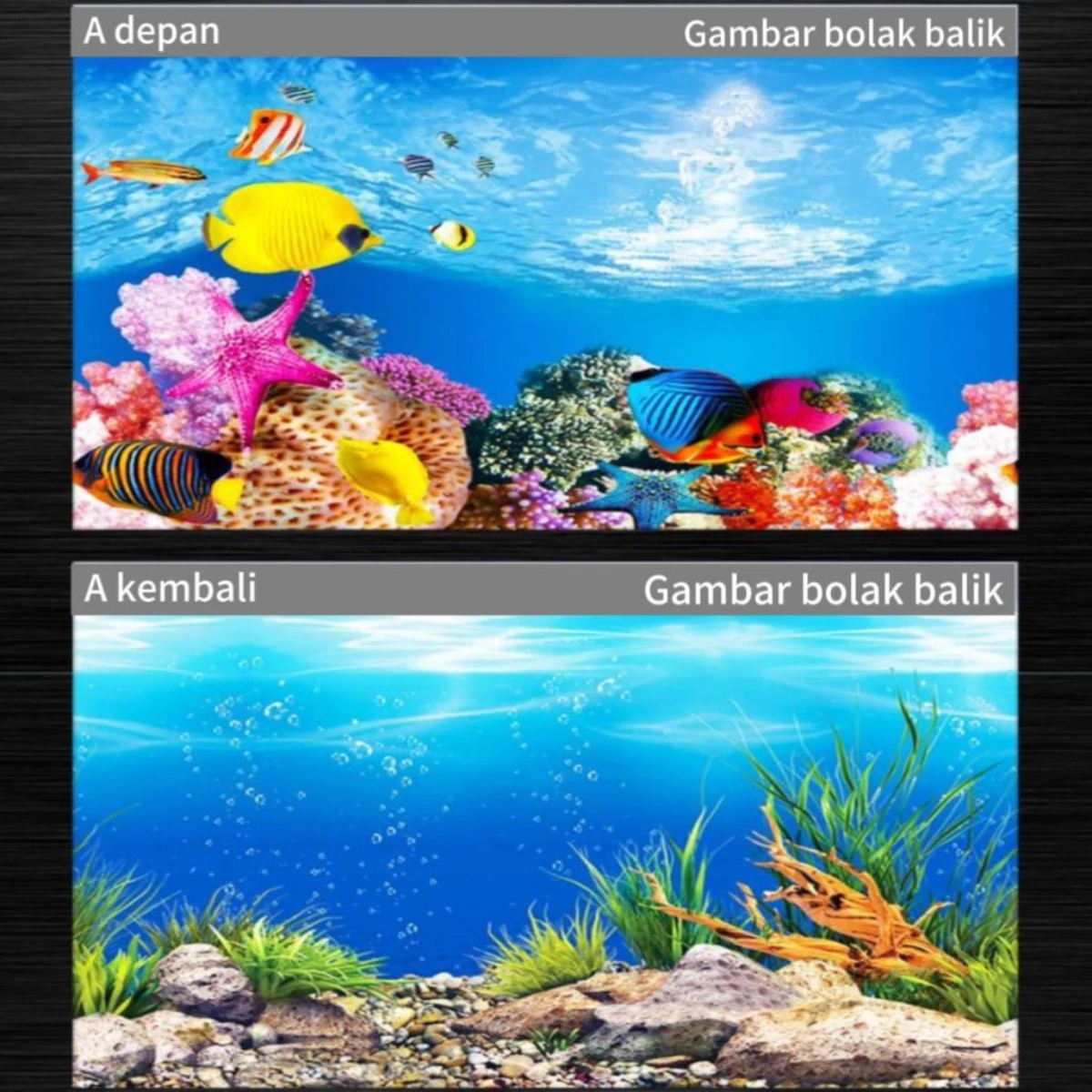 LEPET 50CM STICKER BACKGROUND AQUARIUM 2 SISI motif A,C,E,G,H,K / TIMBAL BALIK /AQUASCAPE / STIKER AKUARIUM / SCOUTLITE foto 9