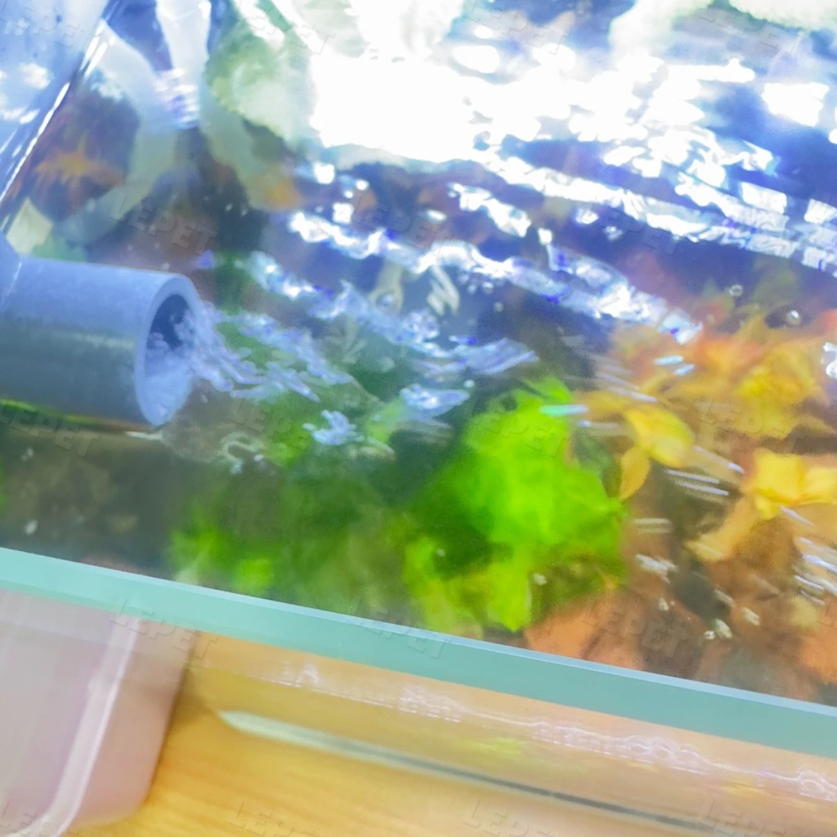 LEPET filter ikan DIY lengkap dengan media filter KHUSUS aquarium 60cm keatas foto 5