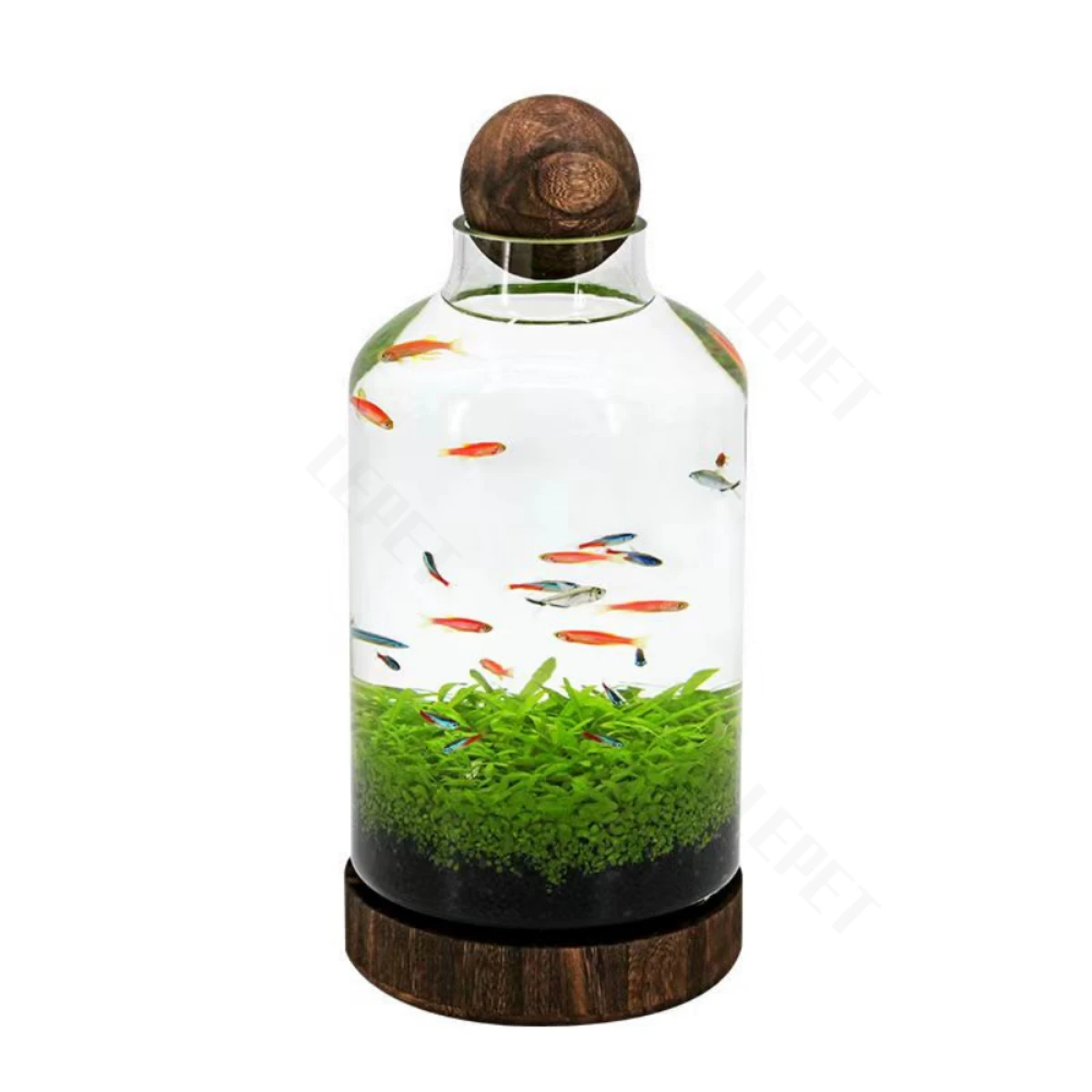 LEPET AQUARIUM MINI KECIL A15S / A16S / AKUARIUM IKAN CUPANG HIAS / KURA-KURA foto 9