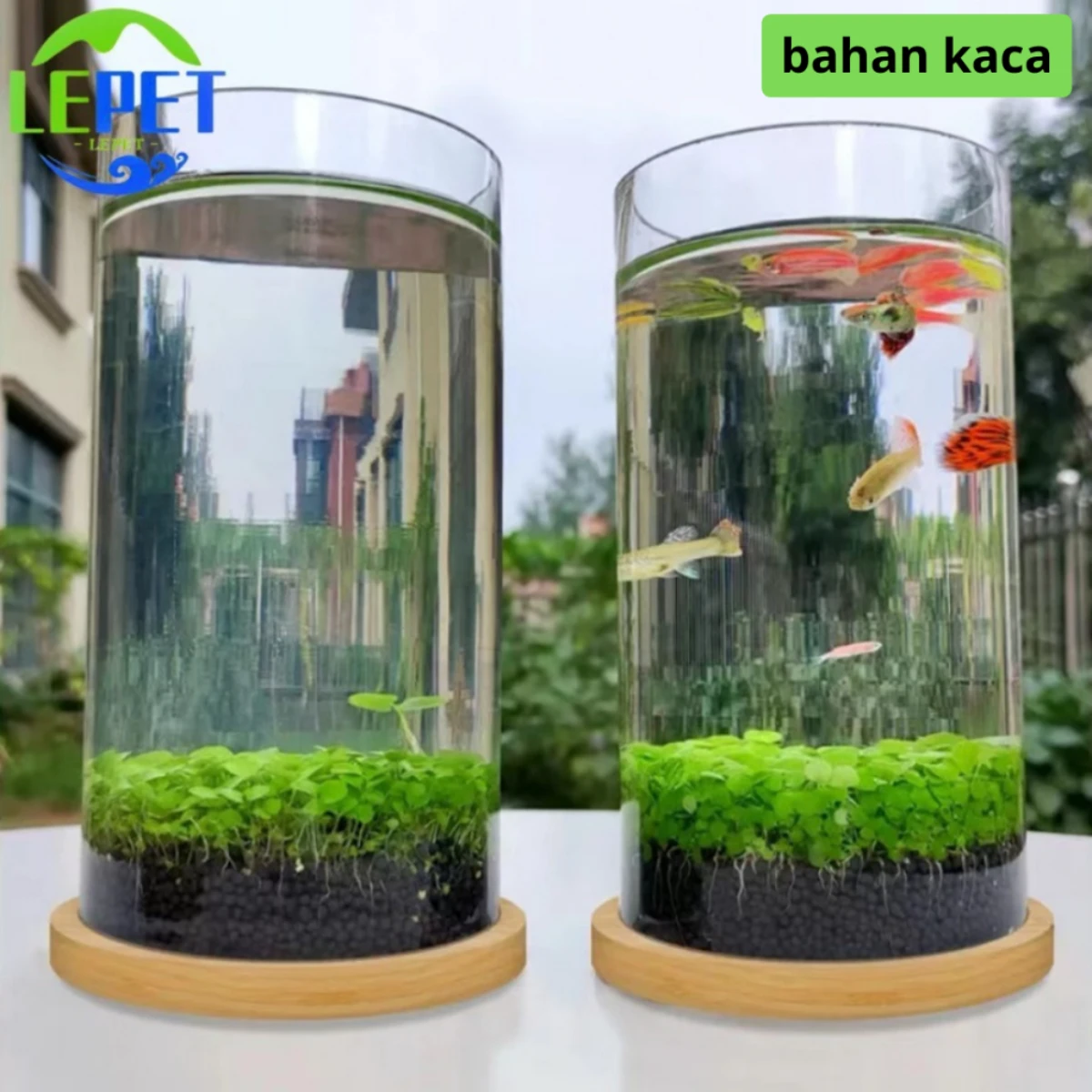 LEPET AQUARIUM MINI KECIL A24 / A25 AKUARIUM IKAN CUPANG HIAS foto 8