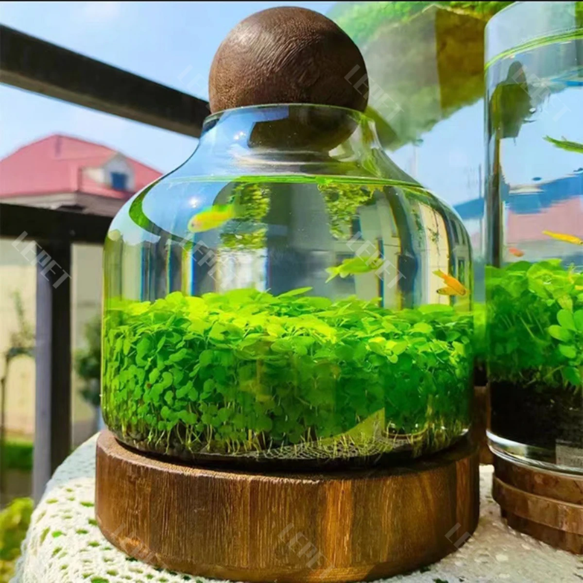 LEPET AQUARIUM MINI KECIL A15S / A16S / AKUARIUM IKAN CUPANG HIAS / KURA-KURA foto 7