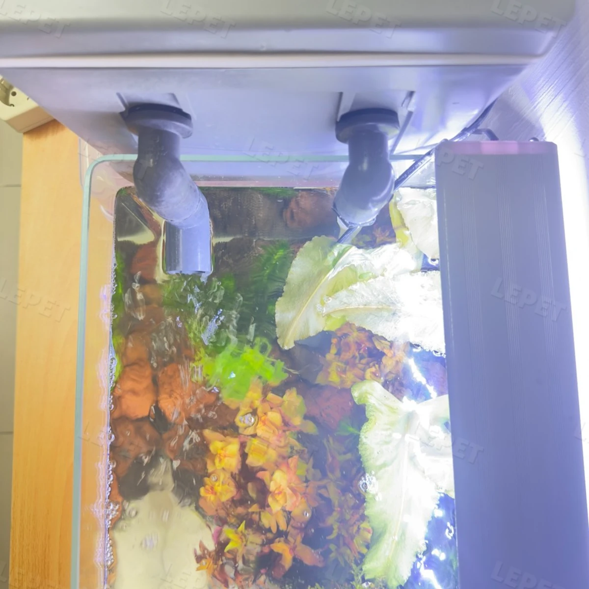 LEPET filter ikan DIY lengkap dengan media filter KHUSUS aquarium 60cm keatas foto 7