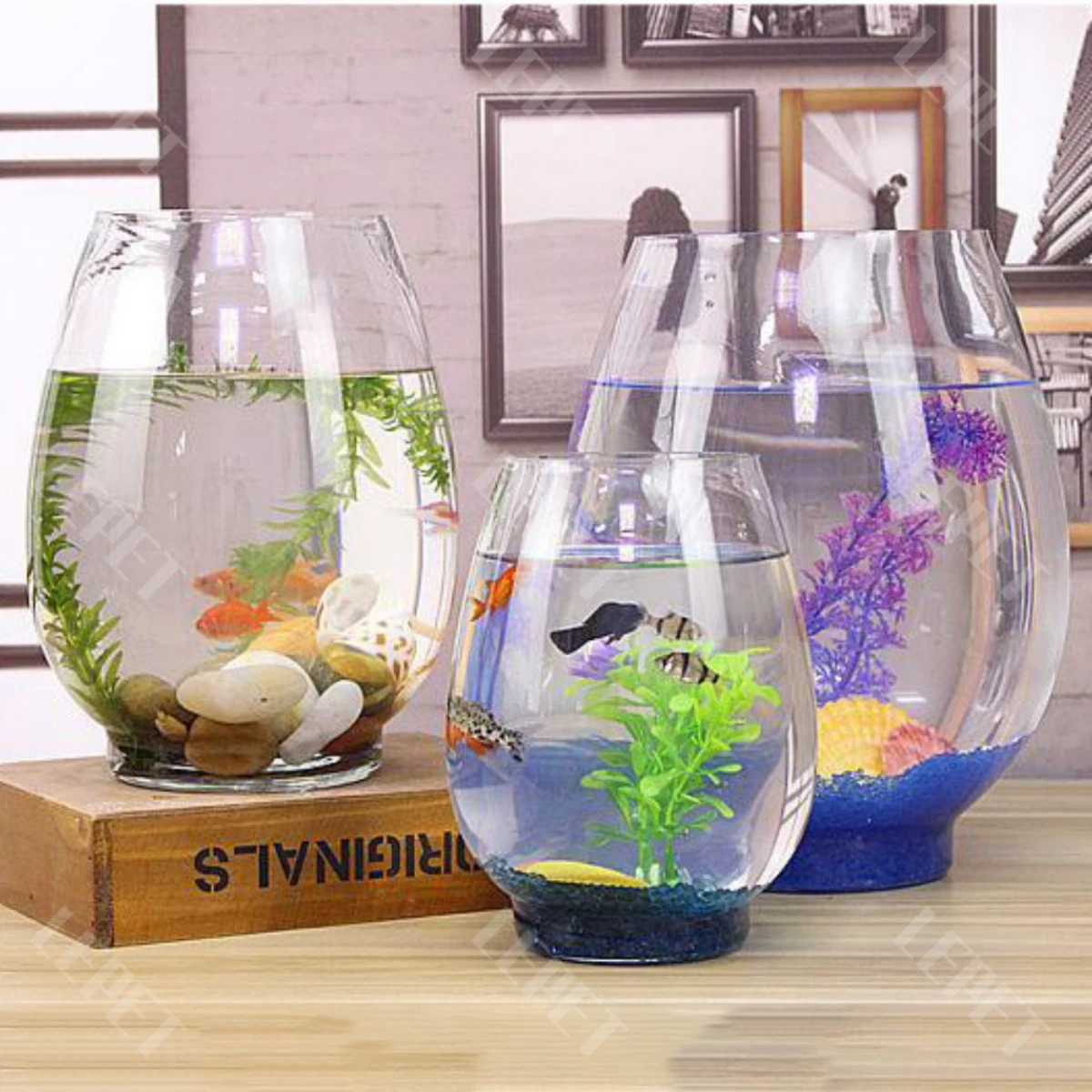 LEPET AQUARIUM MINI KECIL A28L AKUARIUM IKAN CUPANG HIAS foto 5