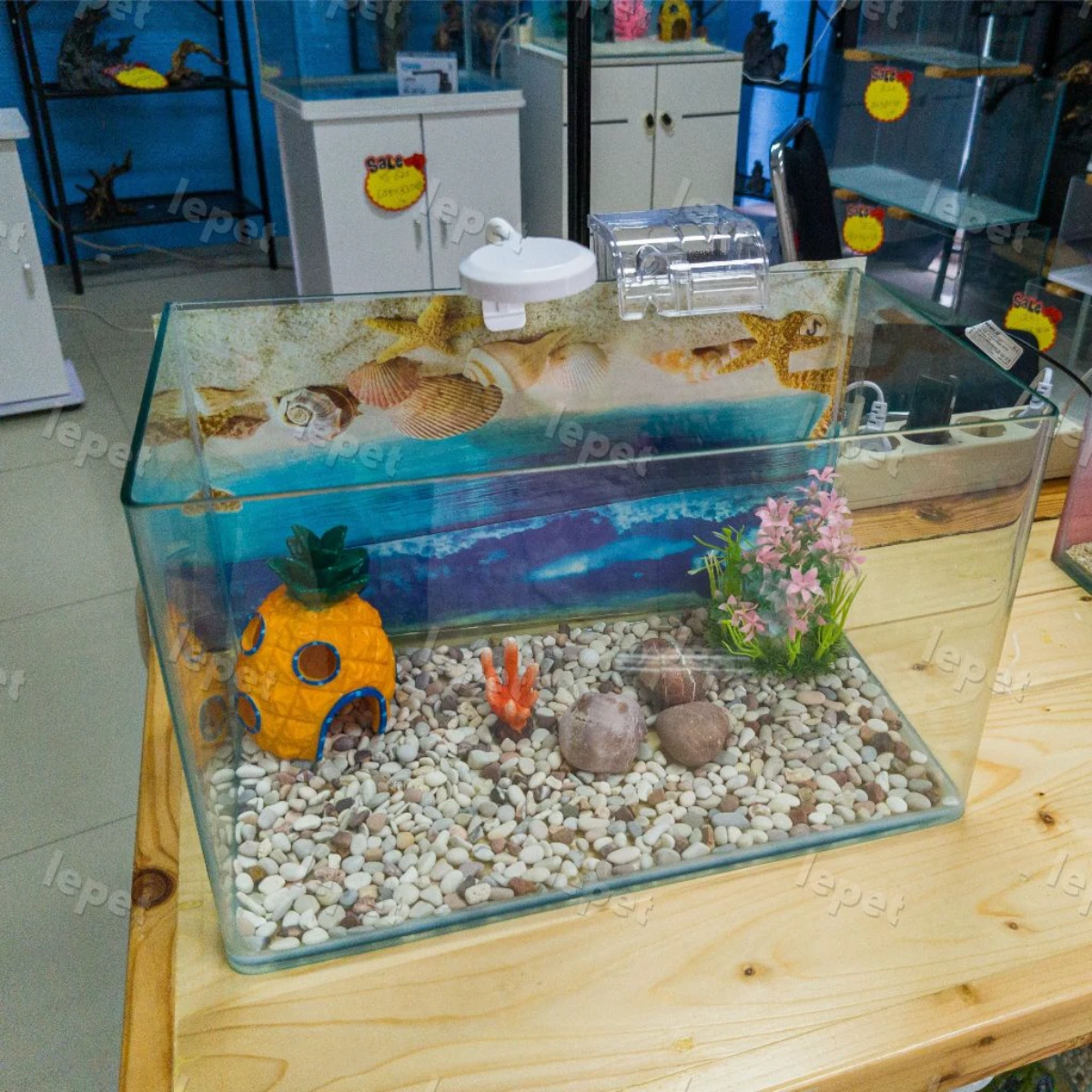 LEPET AQUARIUM PAKET 35CM / AQUARIUM MELENGKUNG / AQUASCAPE / AQUARIUM BENDING foto 3