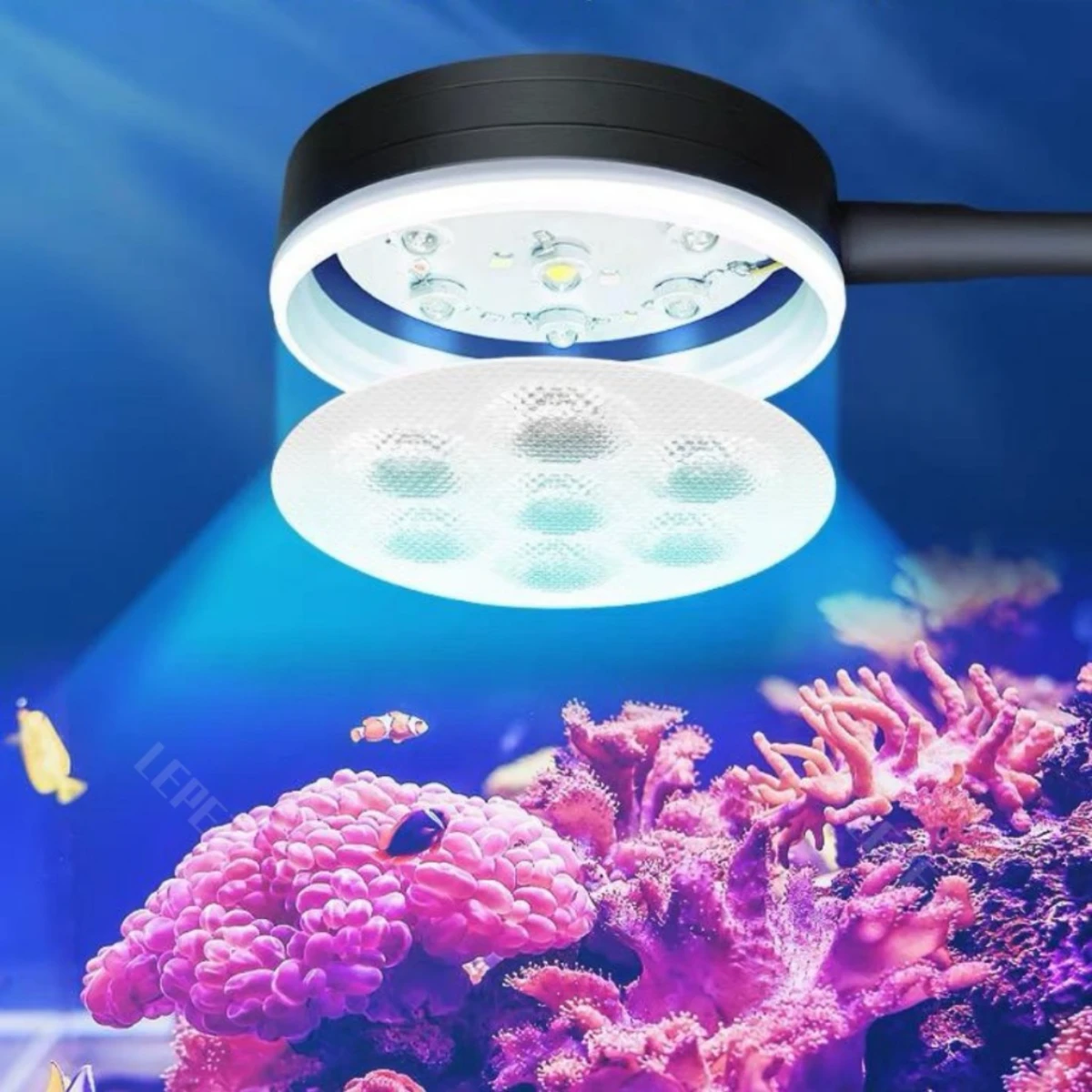 LEPET Akuarium Ikan AIR LAUT SBTHB35/40/ LENGKAP FILTER DAN LAMPU / KACA SUPER BENING / OPTIK CLEAR foto 2
