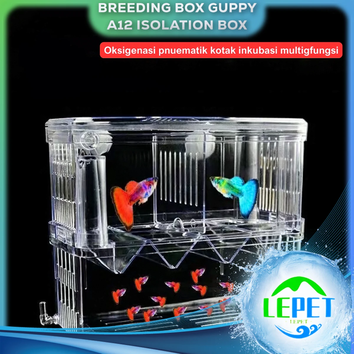LEPET Breeding Box Guppy / Isolation Box / Karantina ikan