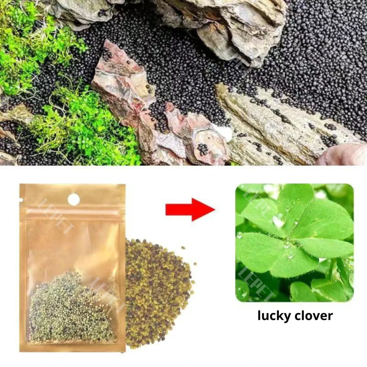 LEPET Bibit Rumput Air Dekorasi Aquarium Landscape Ornament 5g foto 3