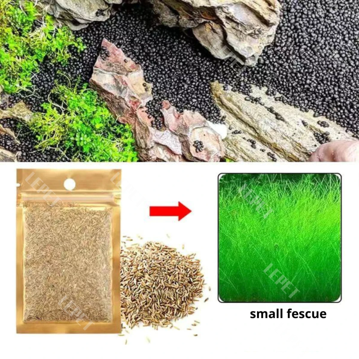LEPET Bibit Rumput Air Dekorasi Aquarium Landscape Ornament 5g foto 7