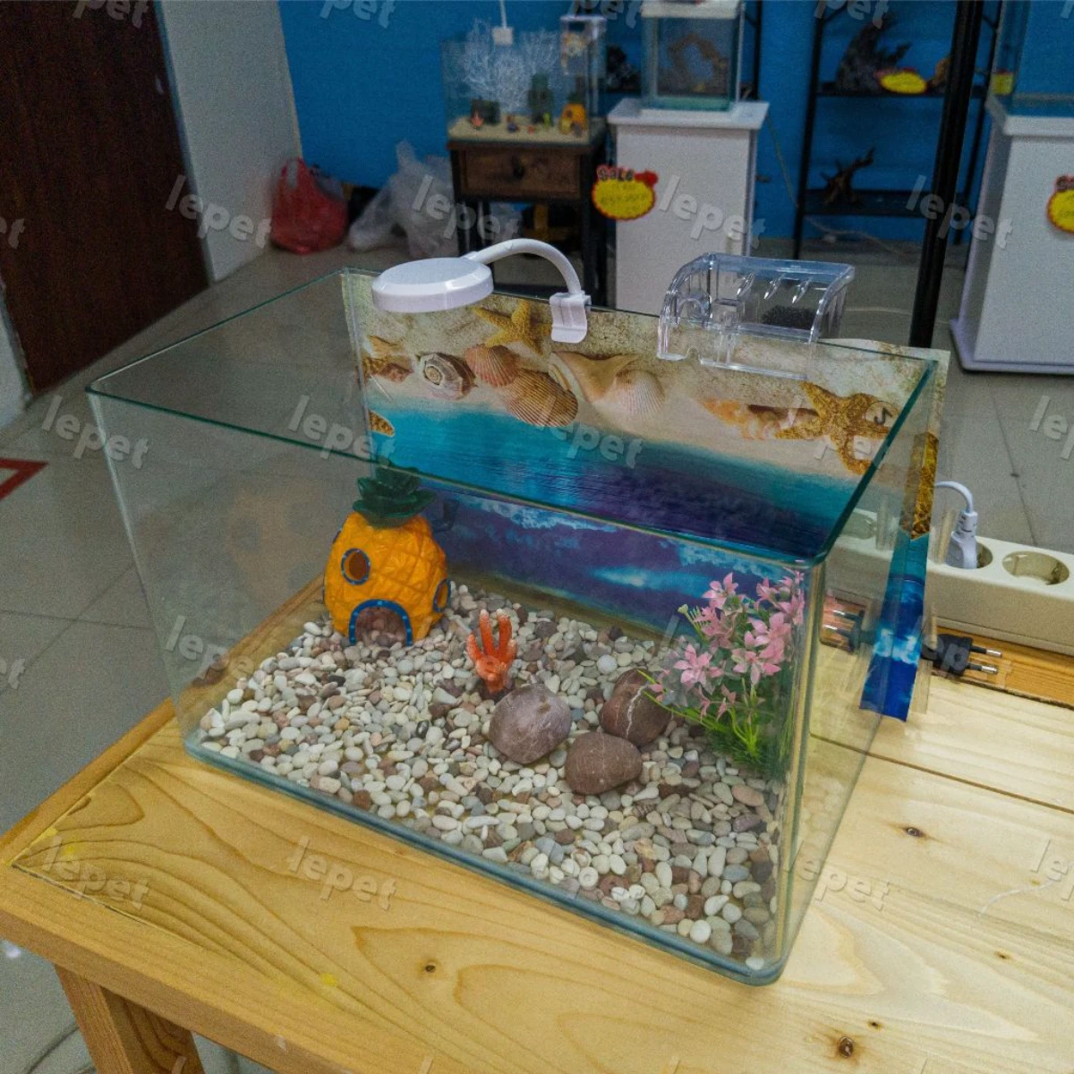 LEPET AQUARIUM PAKET 35CM / AQUARIUM MELENGKUNG / AQUASCAPE / AQUARIUM BENDING foto 4