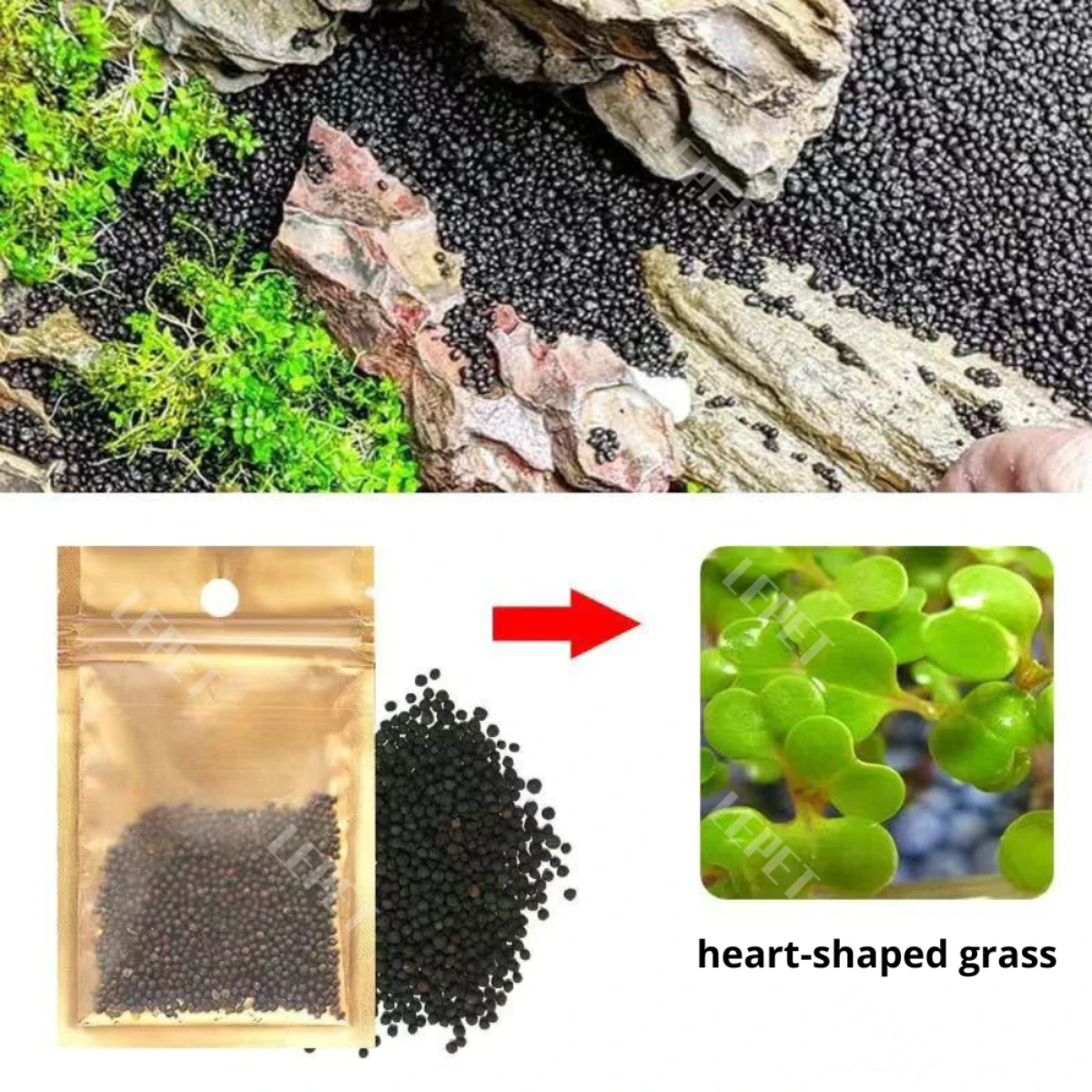LEPET Bibit Rumput Air Dekorasi Aquarium Landscape Ornament 5g foto 6