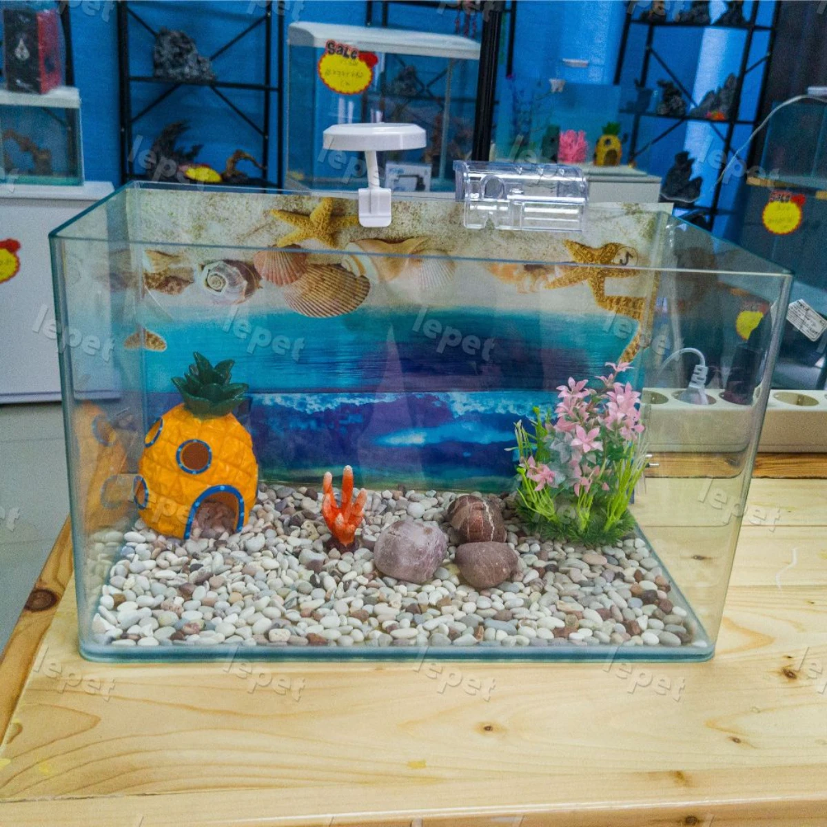 LEPET AQUARIUM PAKET 35CM / AQUARIUM MELENGKUNG / AQUASCAPE / AQUARIUM BENDING foto 6