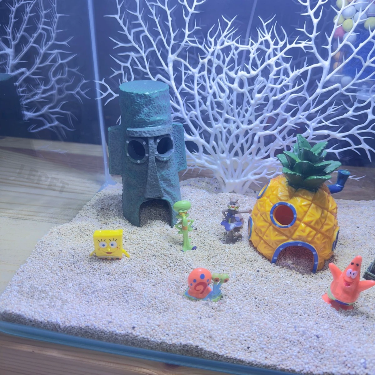 LEPET PAKET AQUARIUM SPONGEBOB 40CM / AQUARIUM MELENGKUNG / AQUASCAPE / AQUARIUM BENDING foto 3