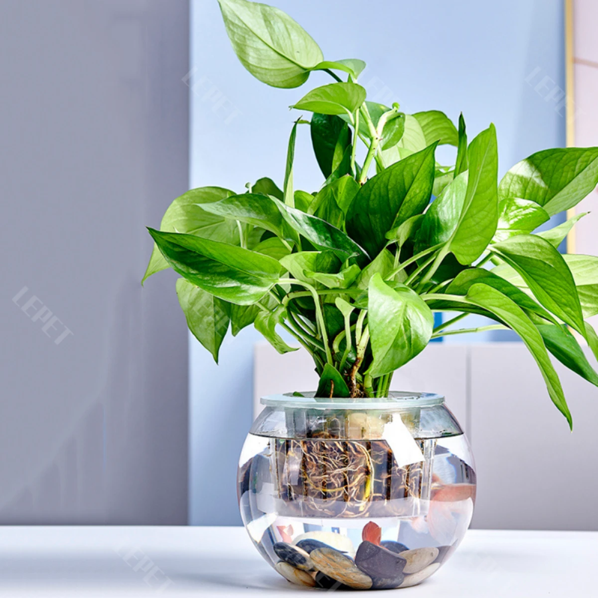 LEPET AQUARIUM MINI KECIL A26-2 / A26-3 AKUARIUM IKAN CUPANG HIAS / KURA-KURA foto 3