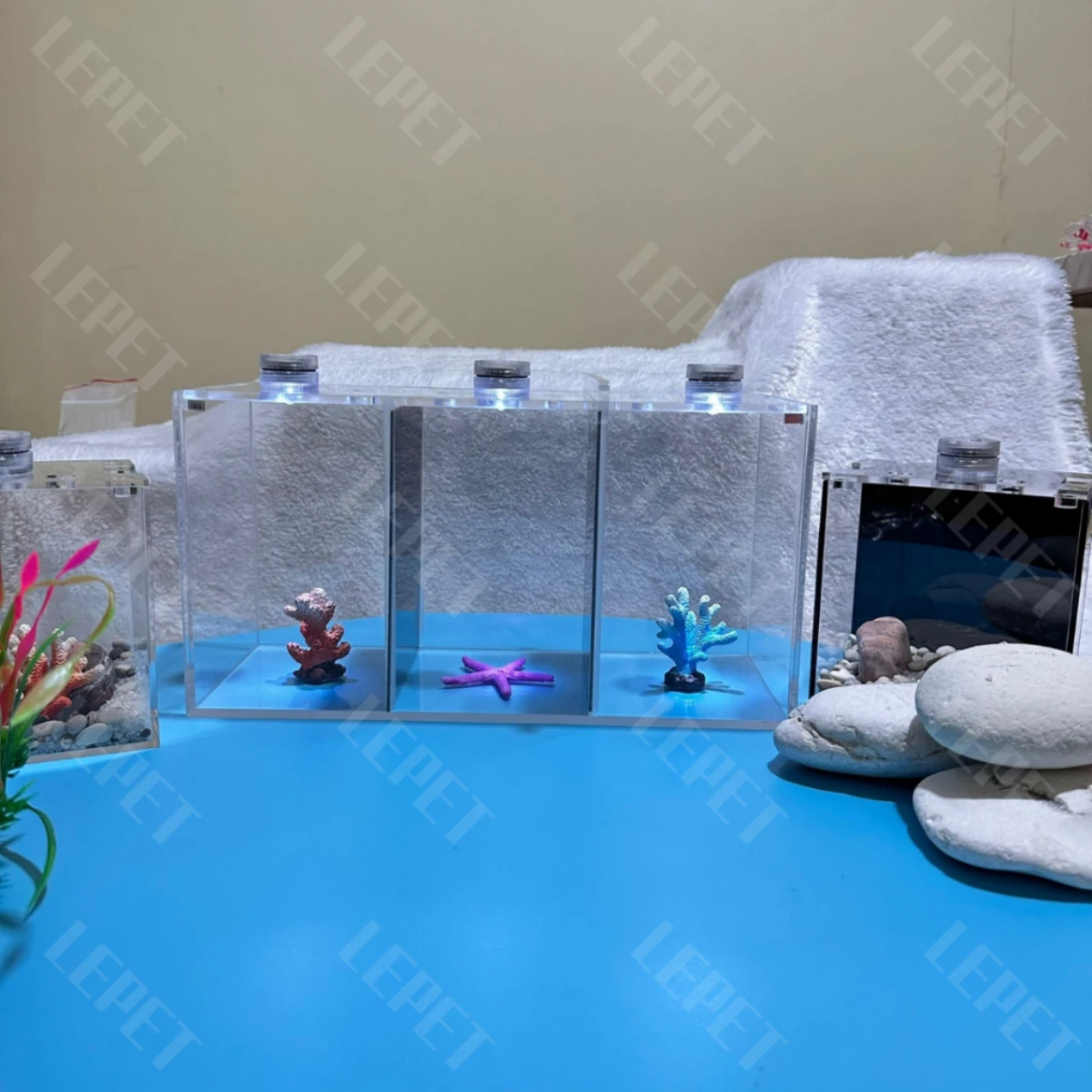 LEPET Akuarium Ikan Cupang 3 skat / Tempat Ikan Kecil Akrilik / Aquarium Mini Acrylic foto 5