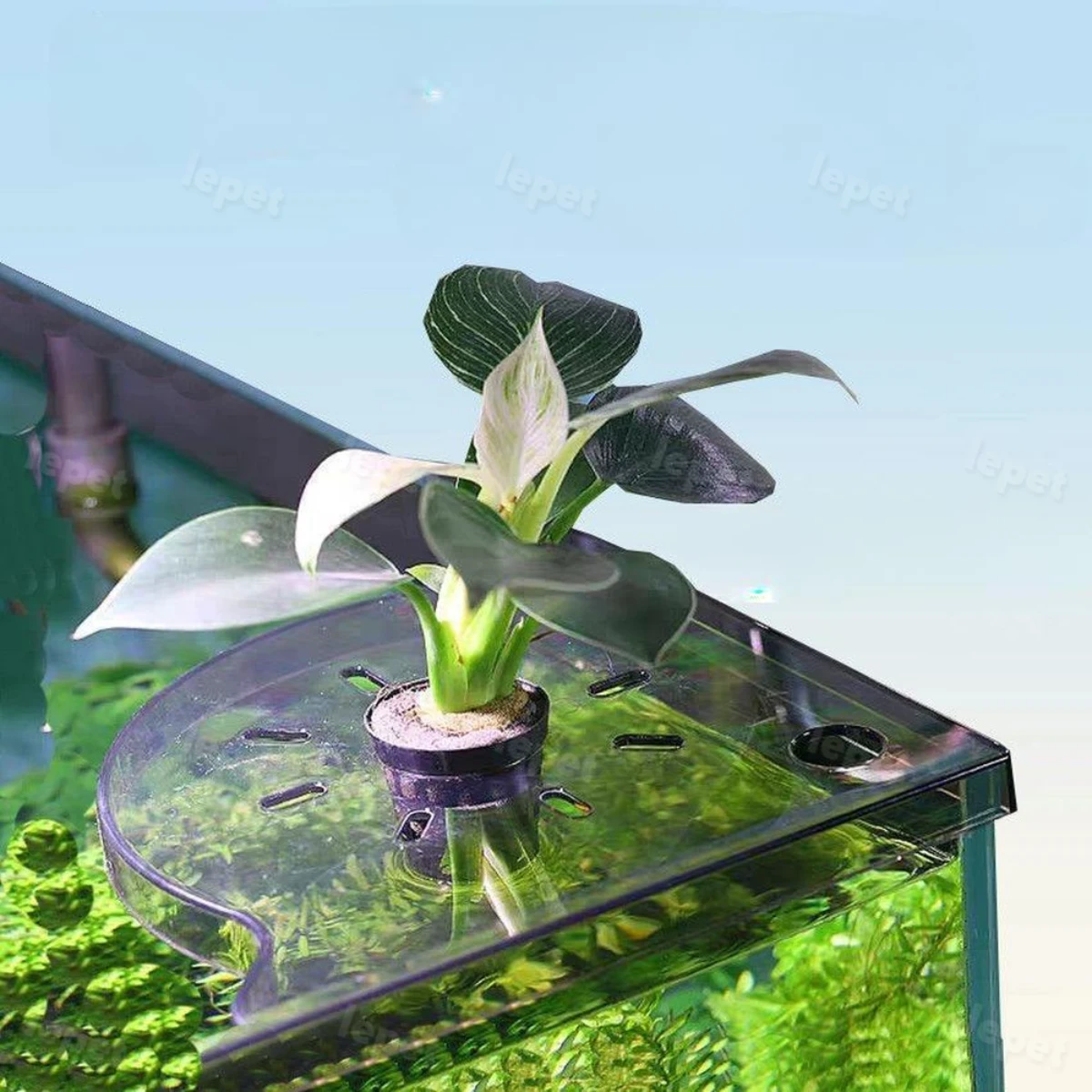 LEPET keranjang tanam rumput air PJ70 , menghemat ruang, partisi baki akuarium ikan,pot tanaman air aquarium/WATER PLANT BASKET foto 7