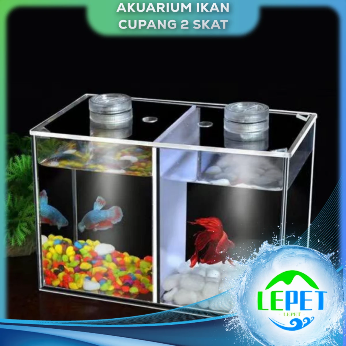 LEPET Akuarium Ikan Cupang 2 skat / Tempat Ikan Kecil Akrilik / Aquarium Mini Acrylic