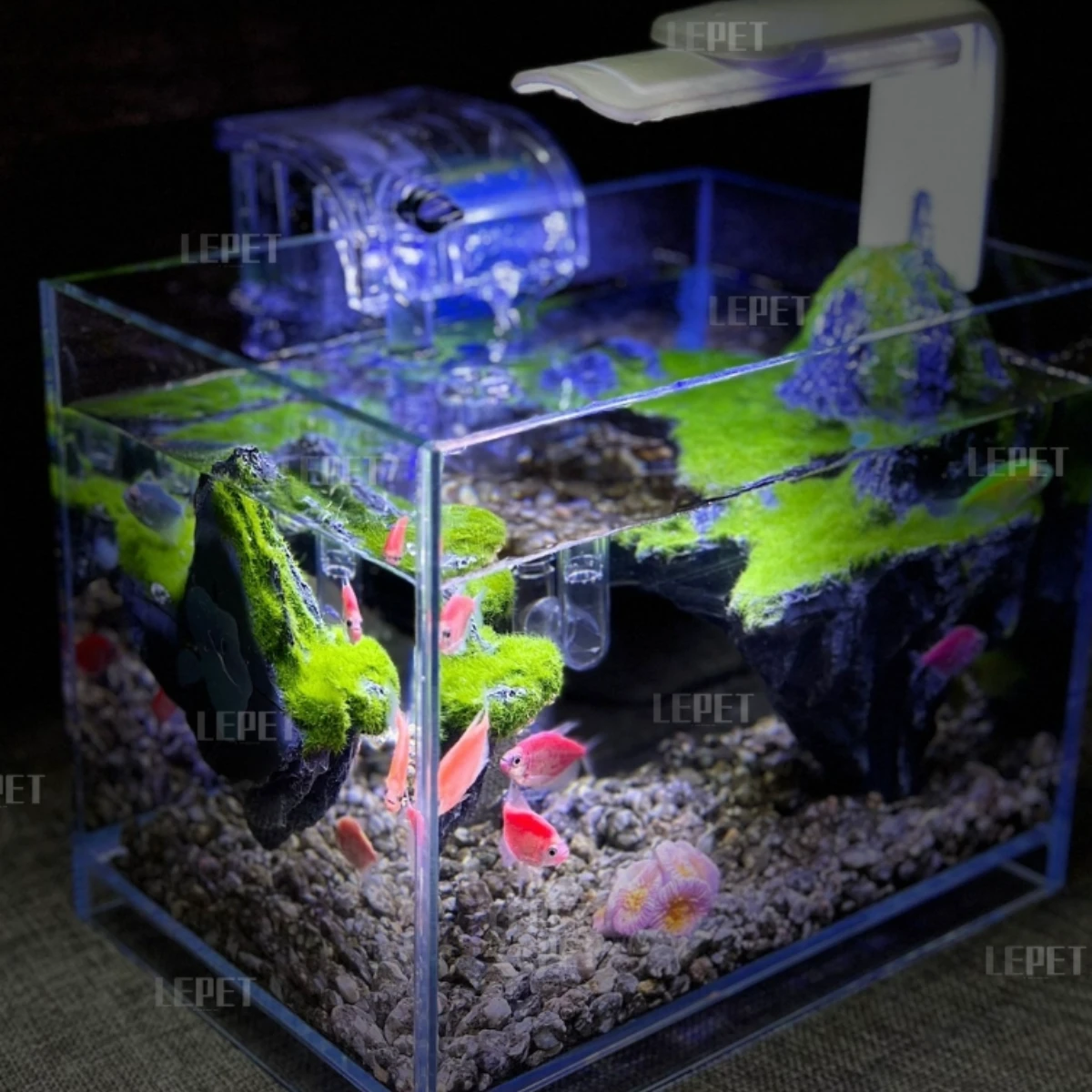 LEPET Akuarium Ikan Mini 230 Tangki Ikan Mini Dengan Filter Dan Lampu Led foto 7