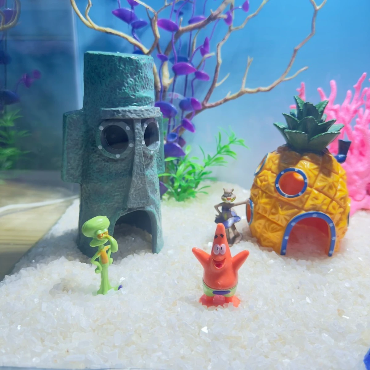 LEPET PAKET AQUARIUM SPONGEBOB 50CM / AQUARIUM MELENGKUNG / AQUASCAPE / AQUARIUM BENDING foto 3