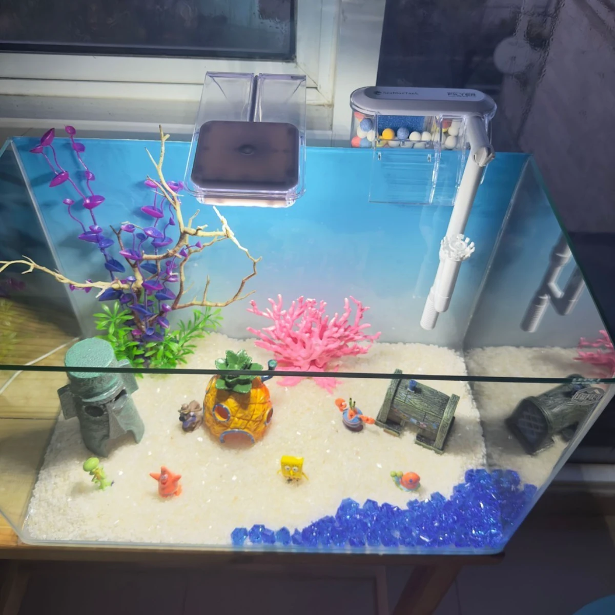 LEPET PAKET AQUARIUM SPONGEBOB 50CM / AQUARIUM MELENGKUNG / AQUASCAPE / AQUARIUM BENDING foto 5