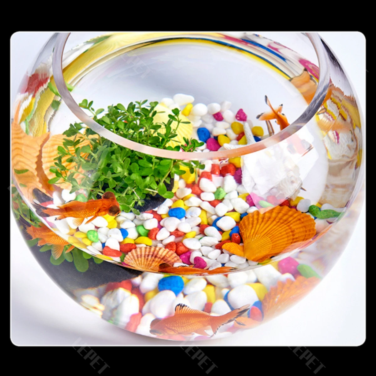 LEPET AQUARIUM MINI KECIL A26-5 AKUARIUM IKAN CUPANG HIAS / KURA-KURA foto 6